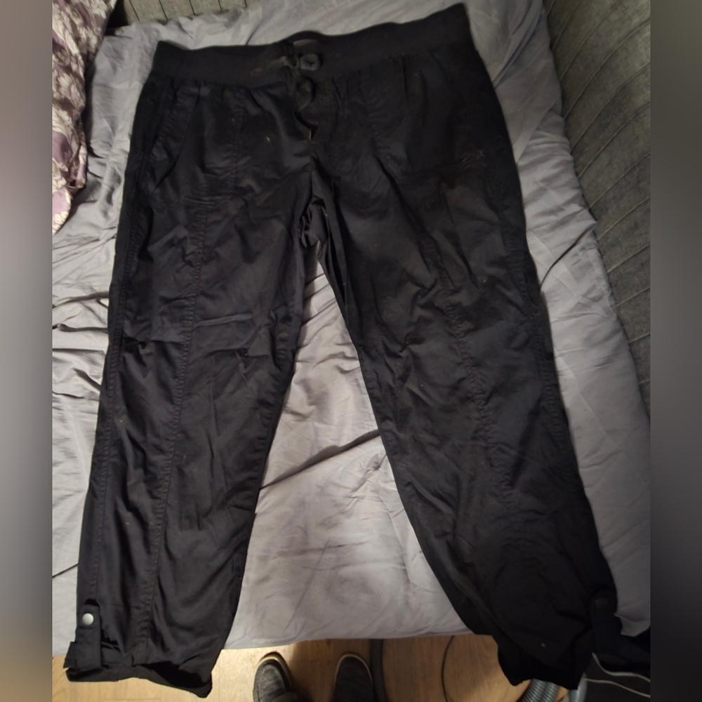 Torrid Pants